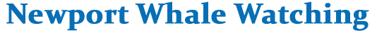 The Tiki Boat Logo